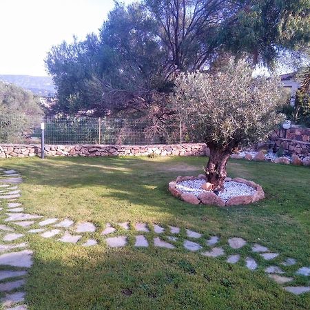 Villetta Cala D'Ambra Сан-Теодоро Экстерьер фото
